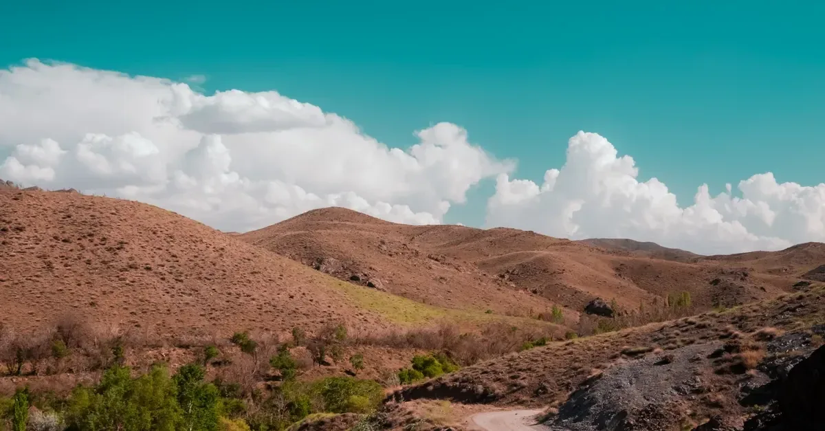 çilekli kalp lolipoplar pembe fonda